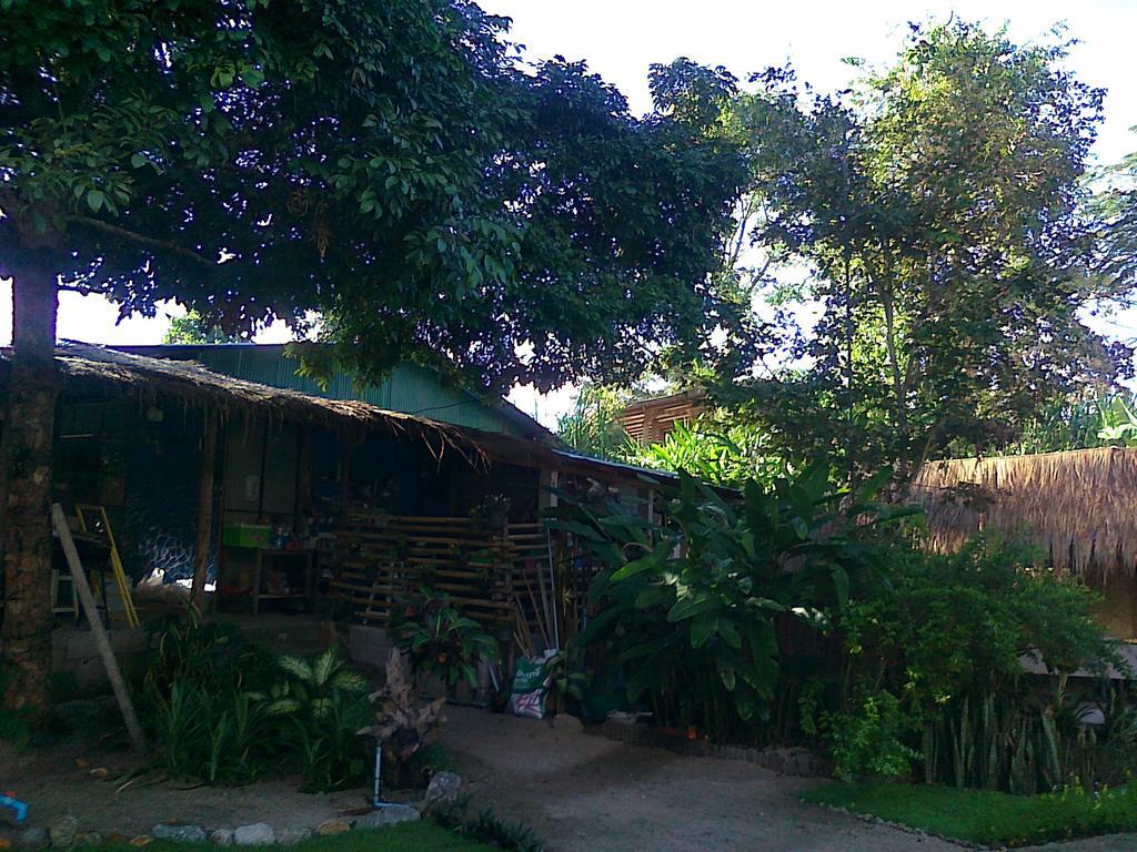 Pai Bamboo Hut Hotel Екстериор снимка